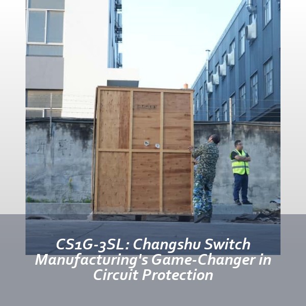 CS1G-3SL: Changshu Switch Manufacturing's Game-Changer in Circuit Protection