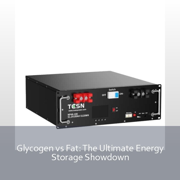Glycogen vs Fat: The Ultimate Energy Storage Showdown