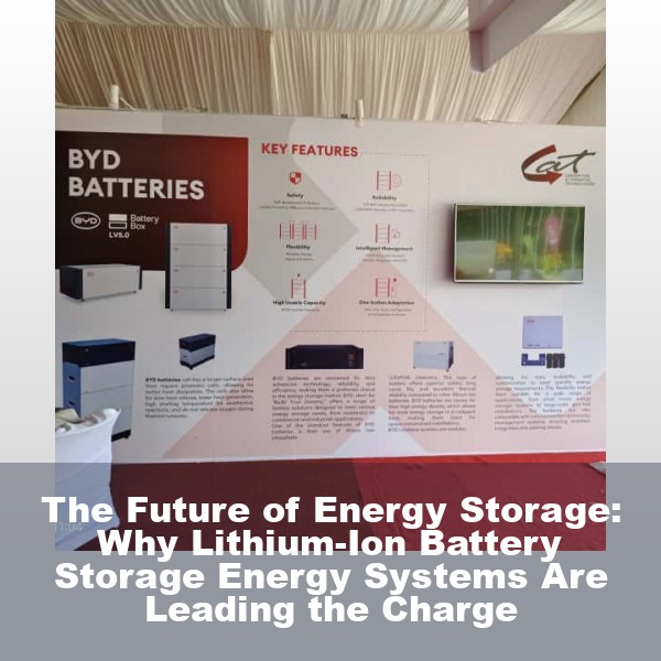 The Future of Energy Storage: Why Lithium-Ion Battery Storage Energy Systems Are Leading the Charge