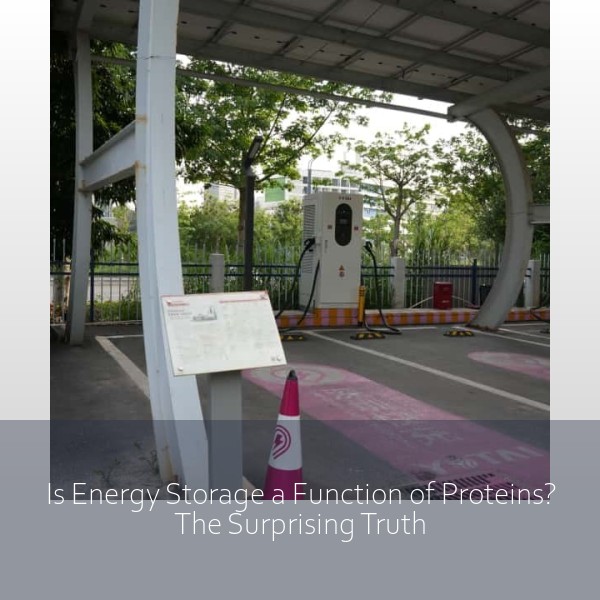 Is Energy Storage a Function of Proteins? The Surprising Truth