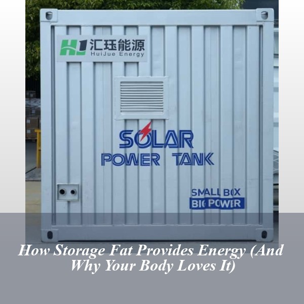 How Storage Fat Provides Energy (And Why Your Body Loves It)