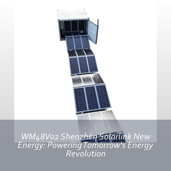 WM48V02 Shenzhen Solarlink New Energy: Powering Tomorrow's Energy Revolution